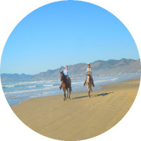 Horseback rides on the beach combined with Alcatraz Island prison tickets